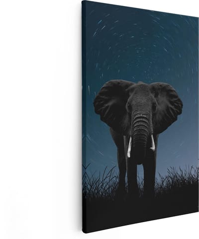 Artaza Canvas Schilderij Olifant - 80x120 cm - Groot - Wanddecoratie Dieren - Muurdecoratie Woonkamer - Schilderijen Op Canvas Nachtlucht