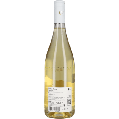 Fiano 'Il Bianco dei Vespa' Vespa 2025