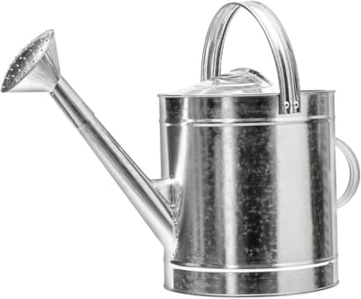 Roestvrijstalen Gieter - Metalen Waterkan - Planten Water Geven - Dubbele Handgreep - 7 Liter - Zilver