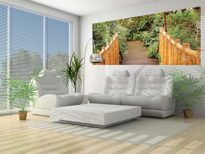 Bamboo Forest Nature Photo Wallcovering