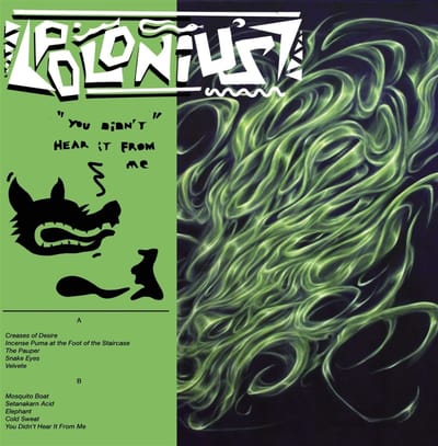 Polonius - You Didn't Hear It From Me (LP)