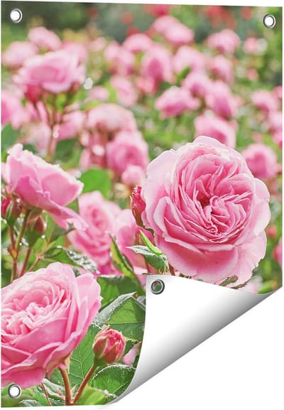 Gards Tuinposter Roze Rozen Bloemenveld - 40x50 cm - Tuindoek - Tuindecoratie - Wanddecoratie buiten - Tuinschilderij