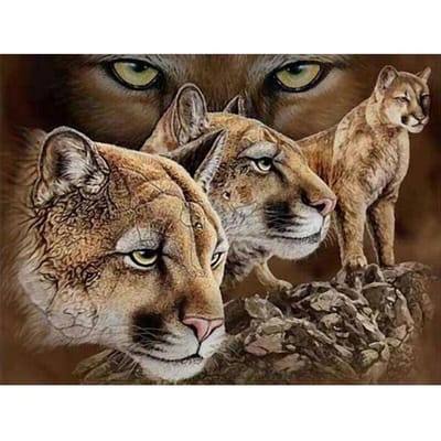 Diamond Mozaïek Dieren Luipaard en Tijger Cross Stitch 5D DIY Ronde Diamond Dots Borduurschilderij 20X30CM black