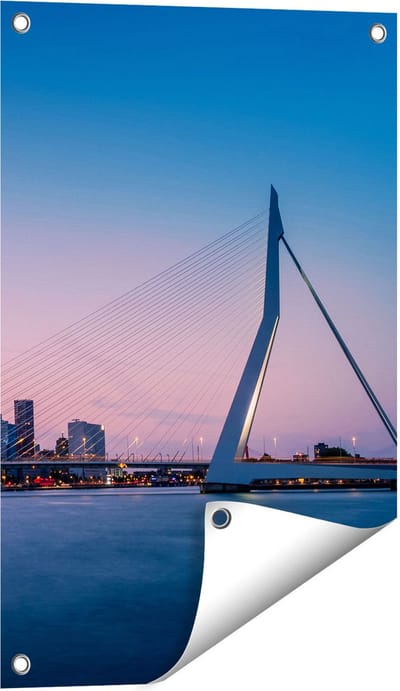 Gards Tuinposter Erasmusbrug in Rotterdam met Zonsondergang - 40x60 cm - Tuindoek - Tuindecoratie - Wanddecoratie buiten - Tuinschilderij