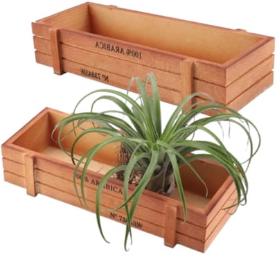 Dailygoods- Houten Planter Lichtgewicht - Bloempotten voor binnen - Vensterbank Planter - Plant Pot - Opbergvak - Rechthoekig Design - Bloempot