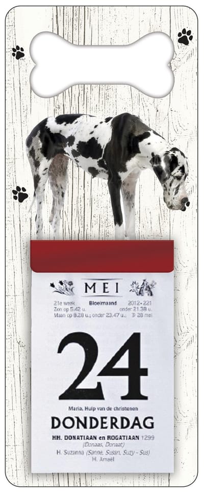 Scheurkalender 2027 Hond: Duitse dog