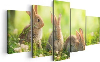 Artaza Canvas Schilderij Vijfluik Drie Konijnen Op Het Gras Bij Zonneschijn - 100x50 - Foto Op Canvas - Canvas Print