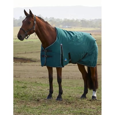 Outdoor paardendeken Weatherbeeta Comfitec Classic 220g