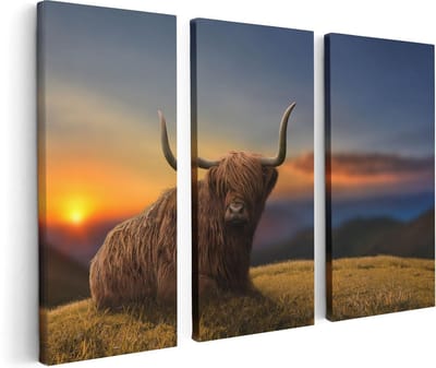 Artaza Canvas Schilderij Drieluik Schotse Hooglander Koe Op Een Heuvel - 120x80 - Foto Op Canvas - Canvas Print