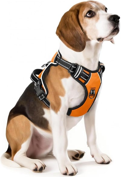 Famanu – Hondentuig Hondenharnas voor Middelgrote Honden No Pull Hond Harnas met Handvat Hondentuig Reflecterende Verstelbare Huisdier Vest voor Buitentraining Wandelen - Oranje - M