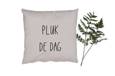 Sierkussens - Kussentjes Woonkamer - 50x50 cm - Tekst - Quotes - Carpe Diem - Pluk de dag
