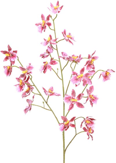 Oncidium Kunstorchideeën Decoratie Roze Violet 93cm 2st, 2 Stück