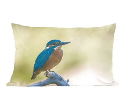 Sierkussens - Kussentjes Woonkamer - 50x30 cm - IJsvogel - Tak - Vogel