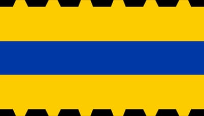 Vlag Veenendaal 70x100cm