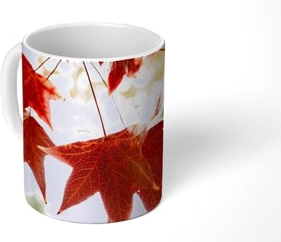Mok - Koffiemok - Herfstbladeren - November - Natuur - Bomen - Mokken - 350 ML - Beker - Koffiemokken - Theemok