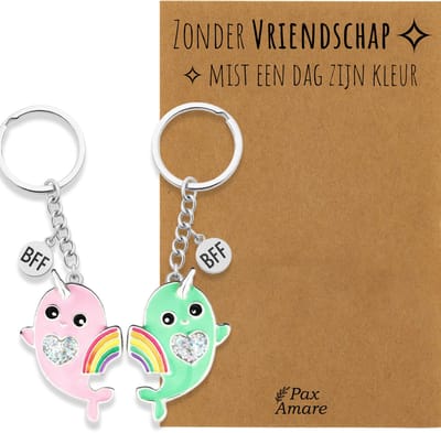 BFF Sleutelhanger voor 2 'Zonder Vriendschap mist een dag zijn kleur' - Regenboog Narwal Roze & Groen - Sleutelhanger set op Cadeau Kaartje - Zilverkleurig - Vriendschap Symbool - Pax Amare
