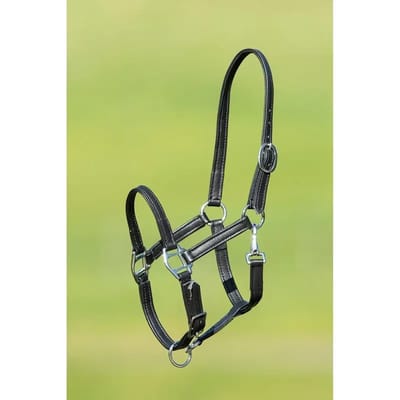 Zacht lederen halster voor paarden HFI