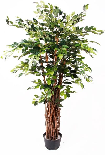 Emerald - Kunstplant Ficus Benjamina Liana Deluxe 175cm - Kunstplant voor binnen