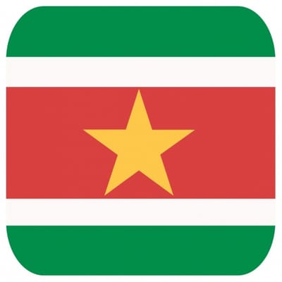 Bierviltjes Surinaamse vlag vierkant 15 st - onderzetter viltjes