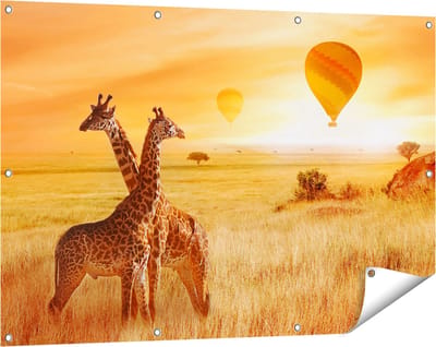 Gards Tuinposter Twee Giraffen met Twee Oranje Luchtballonnen - 120x80 cm - Tuindoek - Tuindecoratie - Wanddecoratie buiten - Tuinschilderij
