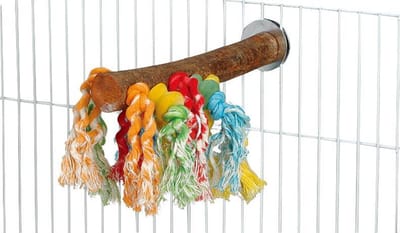 Papegaaien speelgoed - Quapas! Bird Toy ‘Fun-Perch’ - Zitstok Papegaai -