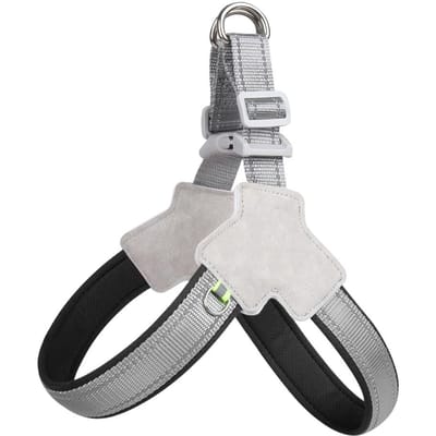 Niet-trekkend Hondentuigje Voor Kleine Middelgrote Honden Katten Reflecterend Verstelbare Borstband Puppy Franse Bulldog Lijn Halsband Huisdierbenodigdheden Decor S