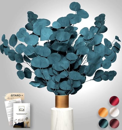 Gedroogde Bloemen - Eucalyptus Takken - Decoratie Huis - Extra Duurzaam - 65-70 cm - Wit