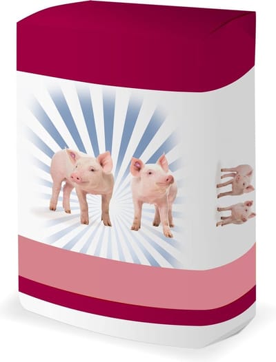 Voerwaarts Roggemeel - 20kg - Varkensvoer - Enkelvoudig