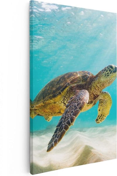 Artaza Canvas Schilderij Schildpad - 20x30 cm - Klein - Muurdecoratie Strand - Wanddecoratie Zee - Kamer Accessoires