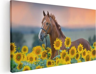 Artaza Canvas Schilderij Paard - 40x20 cm - Klein - Wanddecoratie Zonnebloemen - Muurdecoratie Bloemenveld - Schilderijen Op Canvas Dieren