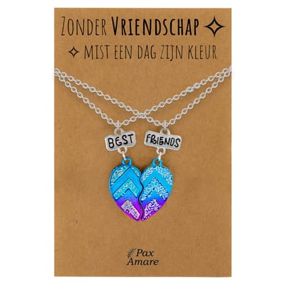 BFF Ketting voor 2 'Zonder Vriendschap mist een dag zijn kleur' - Magnetisch Best Friends Hartje - Vriendschapsketting op Cadeau Kaartje - 45cm + 5cm verstelbaar - Zilverkleurig - Best Friends Hanger - Pax Amare