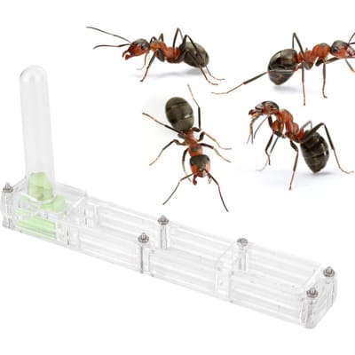 Acryl Mierenkweekhuis Nest Formicarium Displaybox met Watertoren Hydraterendblauw