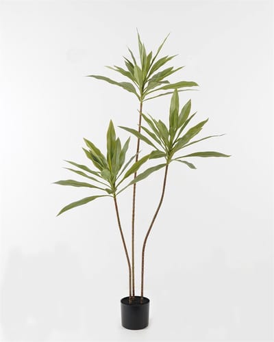 HomeBound by KY | Kunstplant Cordyline 140cm | kunstplant