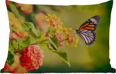 Buitenkussens - Tuin - Vlinder - Insecten - Bloemen - Geel - 50x30 cm