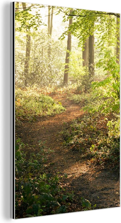 Aluminium schilderij 120x180 cm - Wanddecoratie metaal - Bos - Bomen - Pad - Zon - Planten - Bladeren - Natuur - Metalen muurdecoratie woonkamer - Decoratie industrieel - Foto op dibond - Industriële accessoires slaapkamer