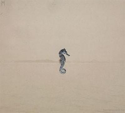 Tab - Seahorse (CD)