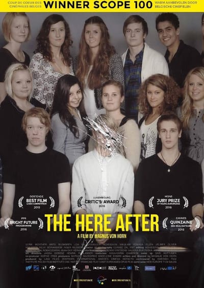 Here After (DVD)