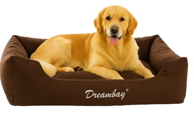 Flamingo Dreambay® - Mand Honden - Bed Dreambay Bruin 120x95x28 Cm - 1st - 123962 - 1st