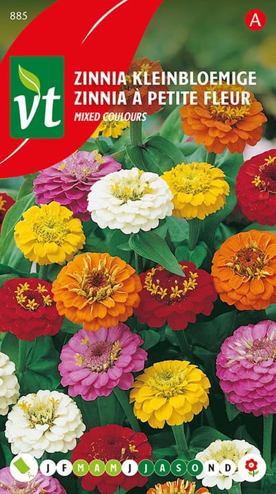 Zinnia 'Kleinbloemige Mixed Colours' - Kleurrijke Bloemenmix voor Snijboeketten