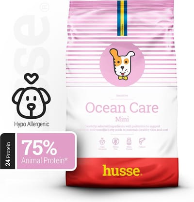 Husse Zalm en Rijst Mini - Hypoallergeen Hondenvoer, Hondenvoeding Droog, Hondenbrokken Hypoallergenic - 2 kg