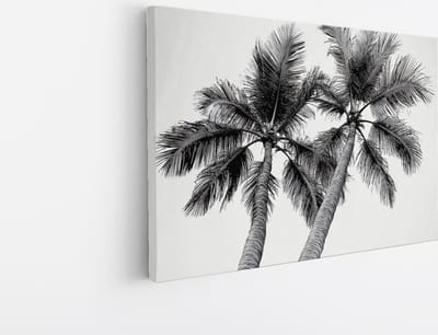 Saammp Canvas Schilderij - Natuur - Zwart-Witte bomen - landschap - 45x30 - Foto op canvas - Wanddecoratie - Muurdecoratie Woonkamer - Slaapkamer decoratie - Canvas Print