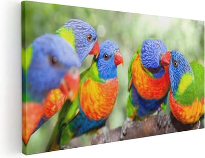 Artaza Canvas Schilderij Papegaai - 40x20 cm - Klein - Wanddecoratie Vogels - Muurdecoratie Kleurrijke Vogels - Schilderijen Op Canvas