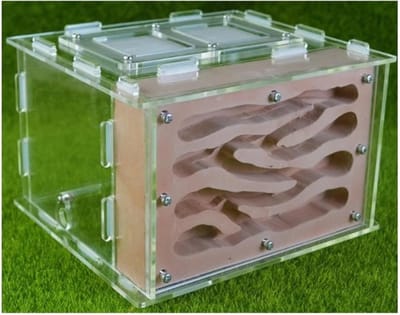 Mierenboerderij Kasteel - Mierenhabitat Nest - Educatief Observeren - Voedingsruimte Inclusief - 17x15x11.5cm