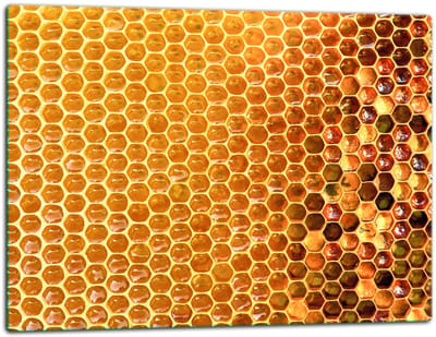 TMK ArtDeko 7w1 Serie - Glazen Snijplank - 52x40 cm - Kleurrijk - Veilig - Multifunctioneel