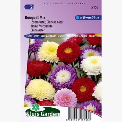 Sluis Garden - Aster Boeket (Zomeraster)
