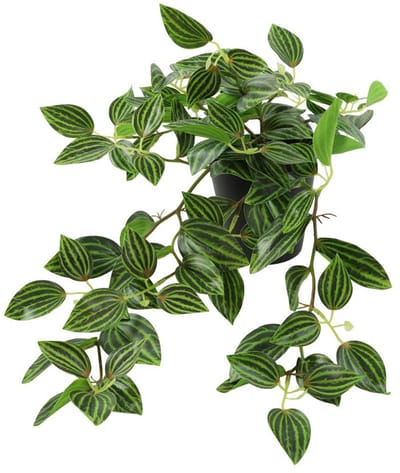 Kunstplant Peperomia groen H23cm