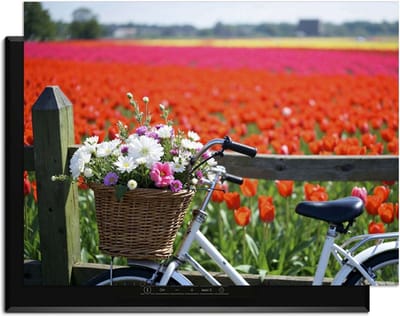 KitchenArt - Spring Ride - Inductie Beschermer - 78x52 cm - Kookplaat Beschermer - Luxe Afdekplaat Inductieplaat - Anti-slip & Oprolbaar - Beschermmat Inductiekookplaat