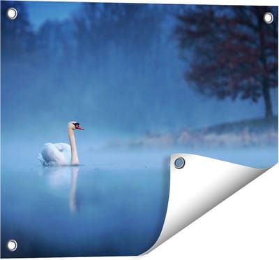 Gards Tuinposter Zwaan op het Water tussen de Mist - 50x40 cm - Tuindoek - Tuindecoratie - Wanddecoratie buiten - Tuinschilderij