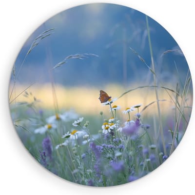 Saammp - Muurcirkel Hout - Vlinder - kleurrijk bloemenveld - Dieren - Natuur - Ø 90 - Wandcirkel - Wanddecoratie Cirkel - muurdecoratie Woonkamer - Slaapkamer decoratie - Rond Schilderij