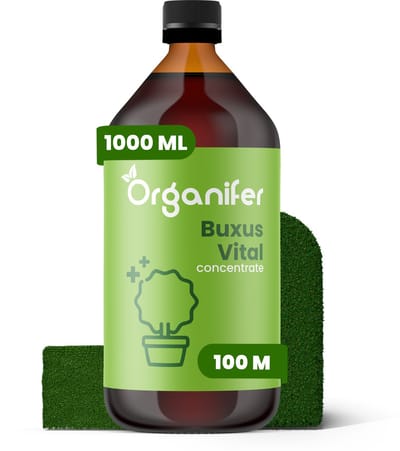 Buxus Vital 1000ml - Concentraat voor 100 meter haag - Buxusmot Bestrijden - Buxusrups Bestrijdingmiddel - Buxusmot Bestrijdingmiddel - Buxus Schimmel - Natuurlijk weerbaar - Organifer
